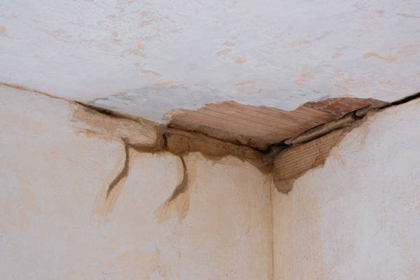 Best 24-hour water damage restoration  in Waynesboro, GA