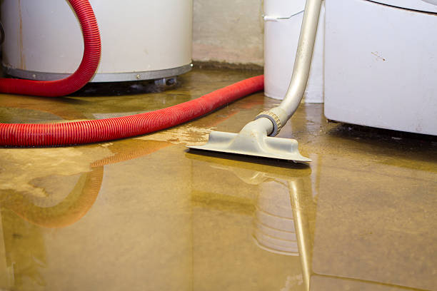 Best Carpet water damage restoration  in Waynesboro, GA