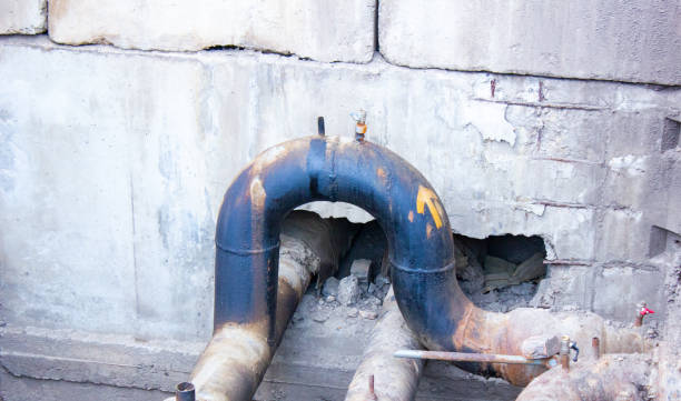 Best Professional water damage repair  in Waynesboro, GA