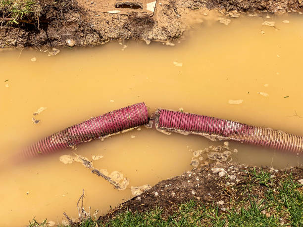 Best Flood damage cleanup  in Waynesboro, GA