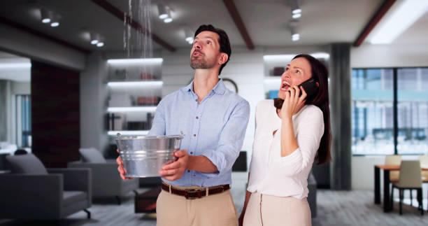 Best Sewage cleanup and water damage restoration  in Waynesboro, GA