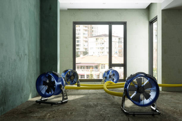Best Fire Damage Restoration  in Waynesboro, GA