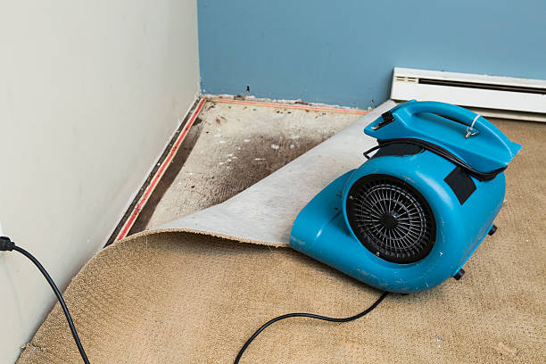 Best Water damage contractors near me  in Waynesboro, GA
